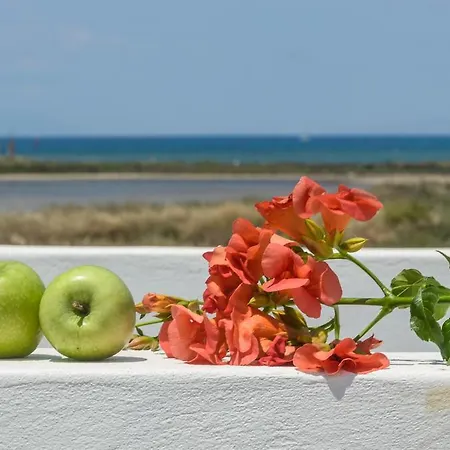 Apartments Naxos Camping Naxos City Room photo