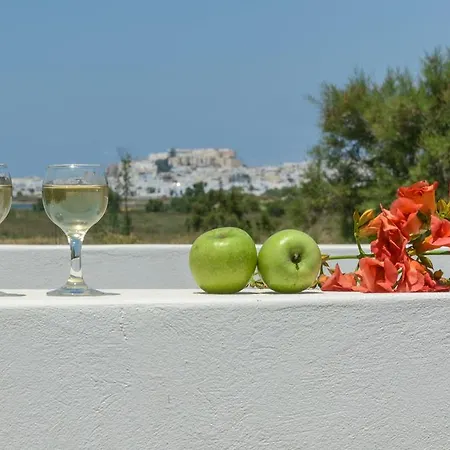 Apartments Naxos Camping Naxos City Room photo